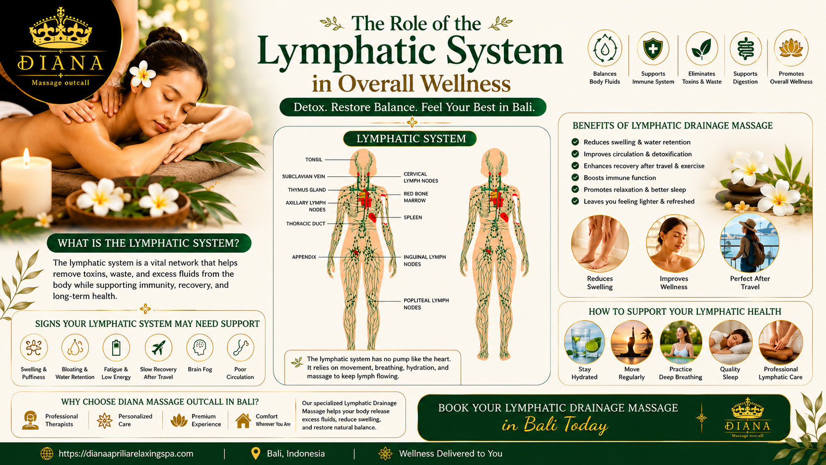 Lymphatic System diagram with lymphatic drainage massage benefits, swelling reduction, detox support, and wellness treatment in Bali